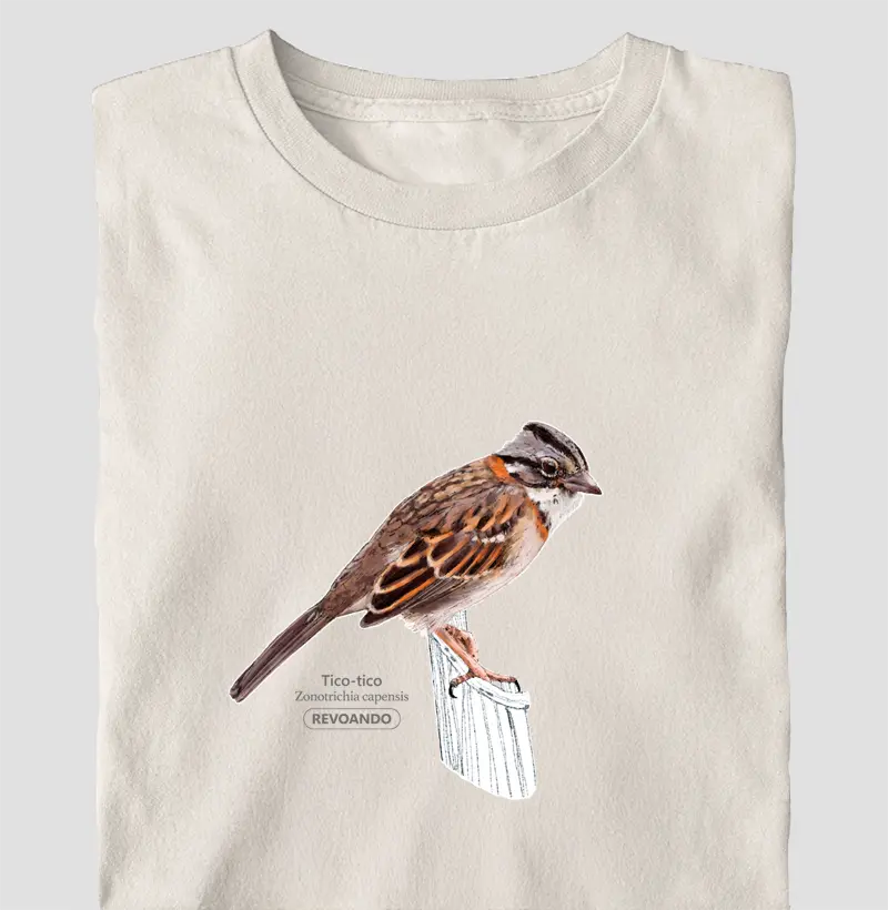 Aves do Brasil - Tico-tico - Oversized