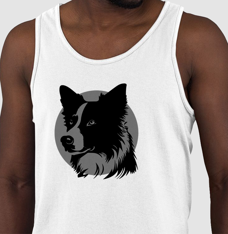 Border Collie fundo cinza