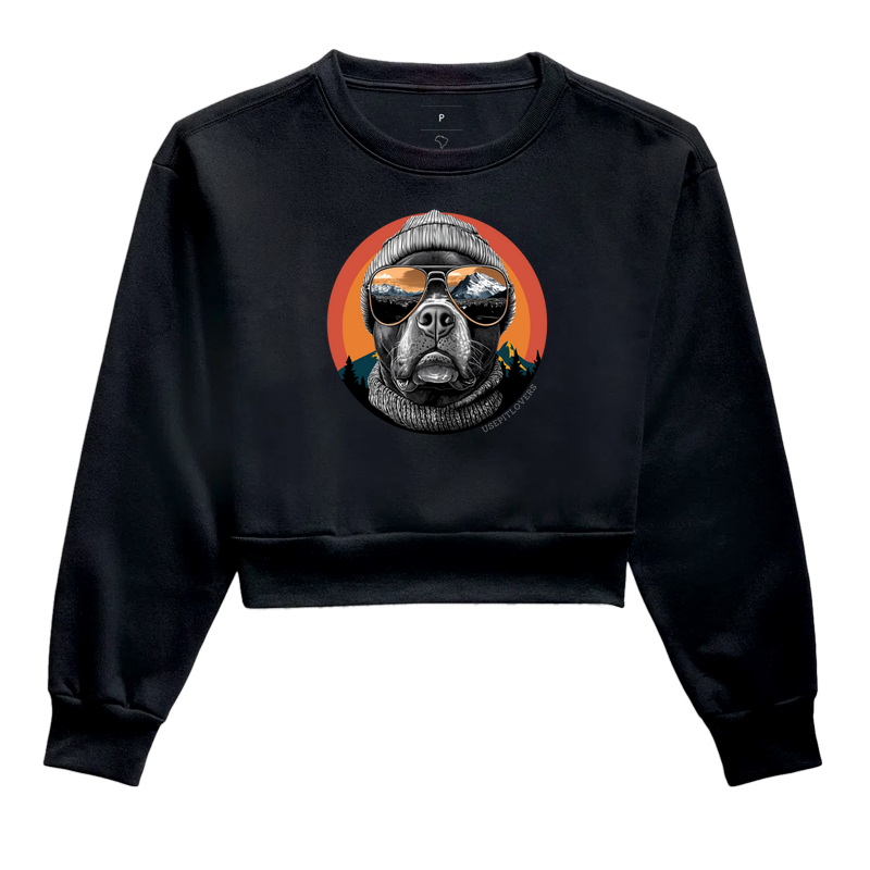 PIT BULL DE ÓCULOS E TOCE