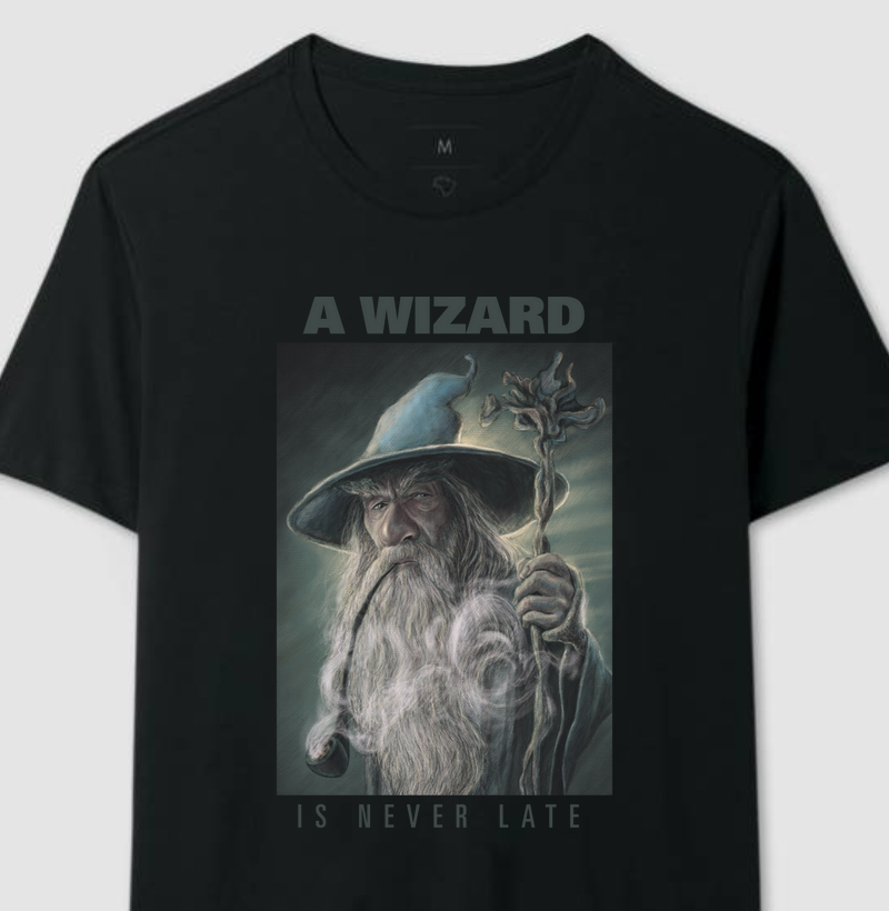 A Wizard Is Never Late