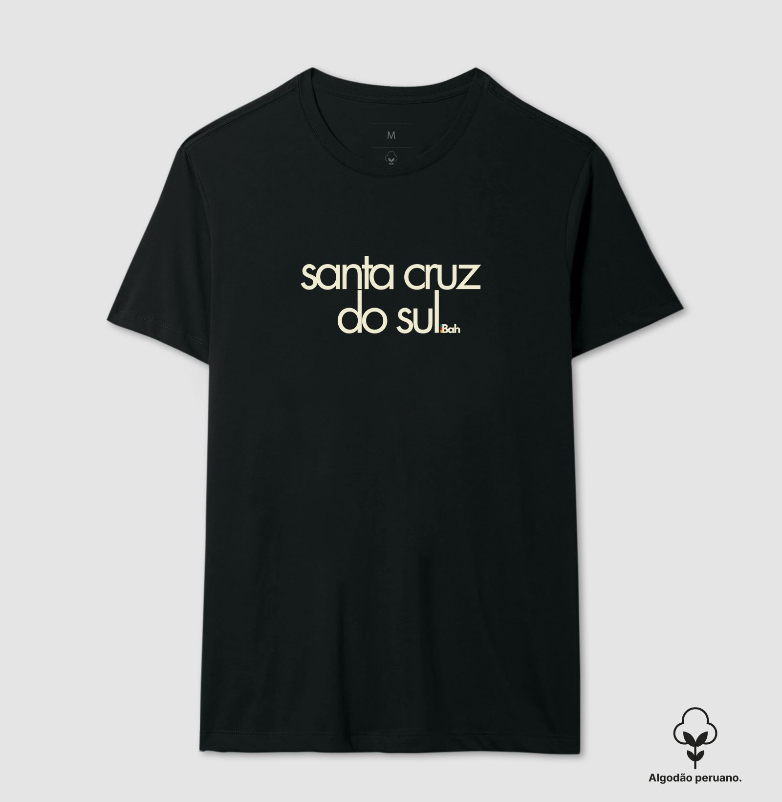 Santa Cruz do Sul