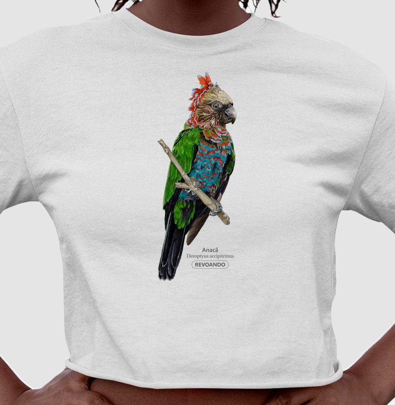 Aves do Brasil  - Anacã - Cropped