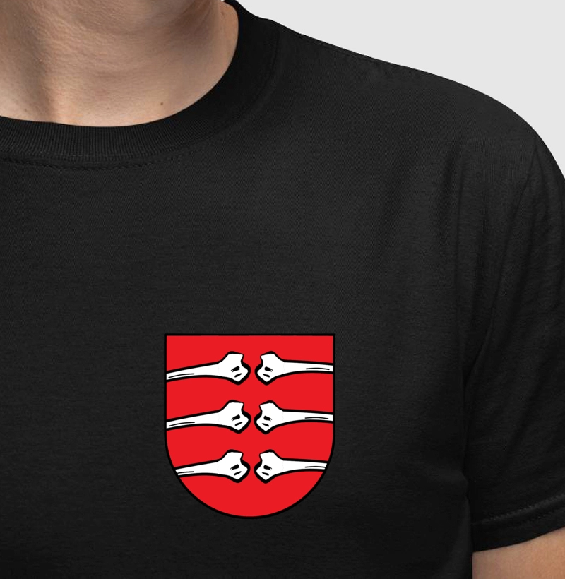 Brasão da Família Costa Escudo