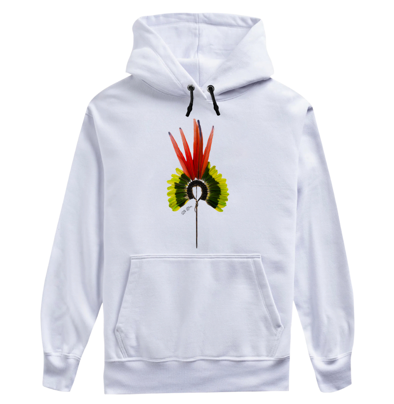 Cocar Indigena 2