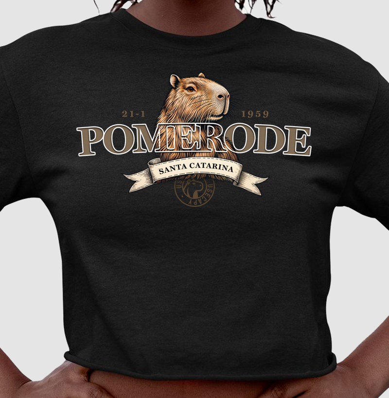 Cidade Pomerode - SC