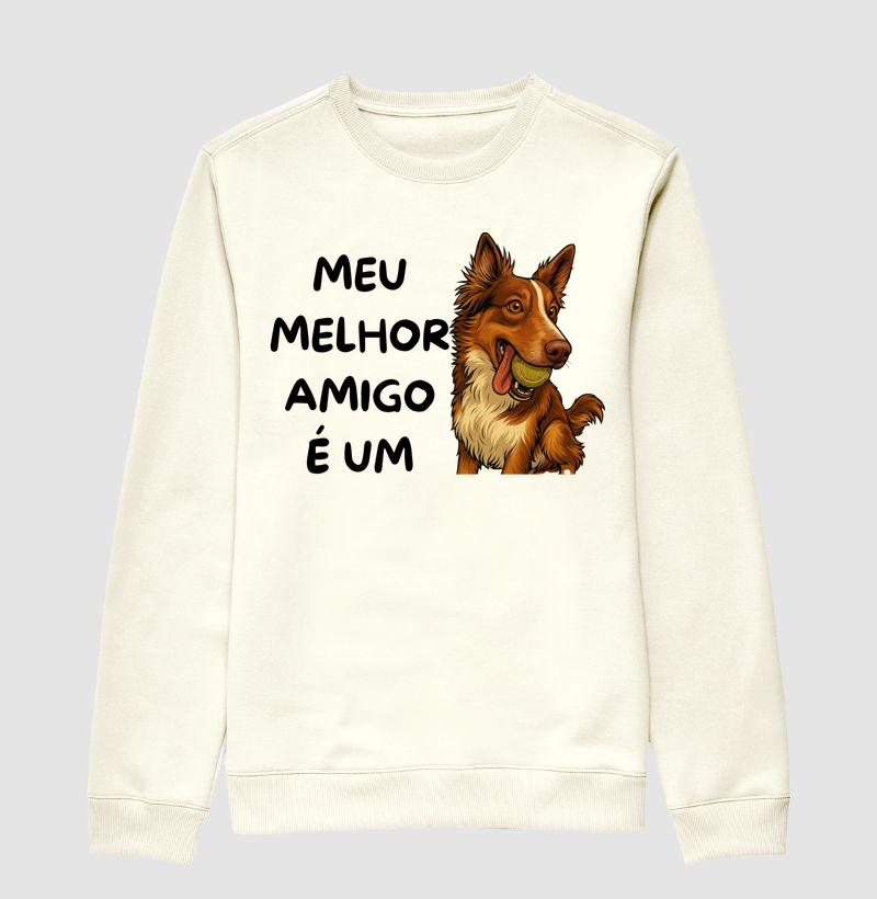Meu melhor amigo é um border collie