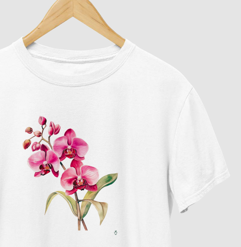 Coleção Orquídeas