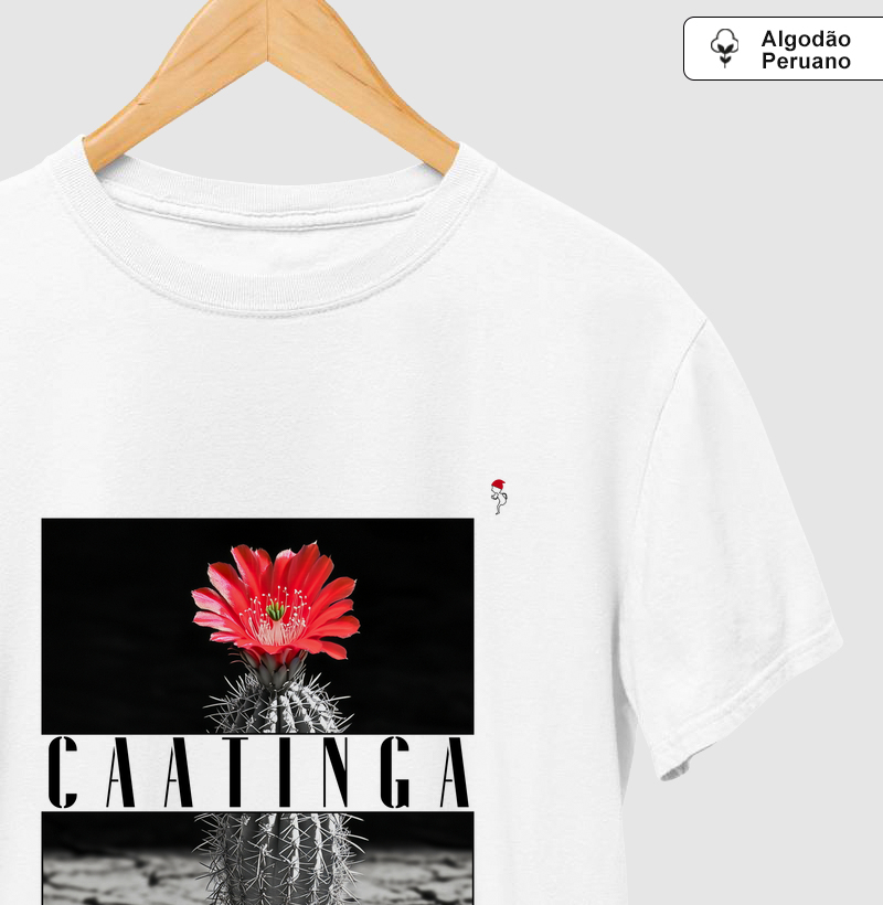Caatinga 