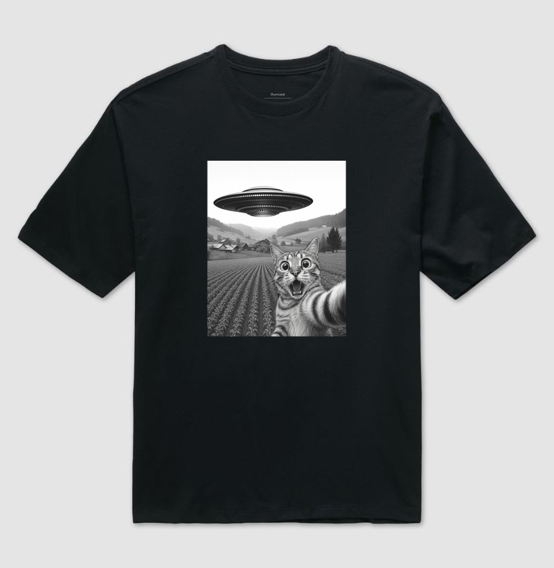 Gato UFO