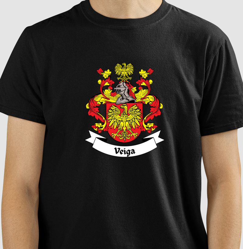 Brasão da Família Veiga com Nome