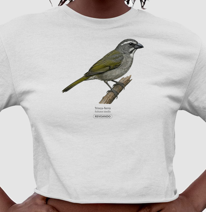 Traços Alados - Trinca-ferro - Cropped