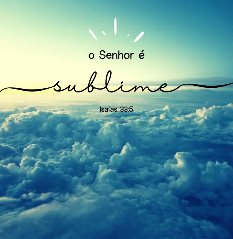 Camiseta Salmos