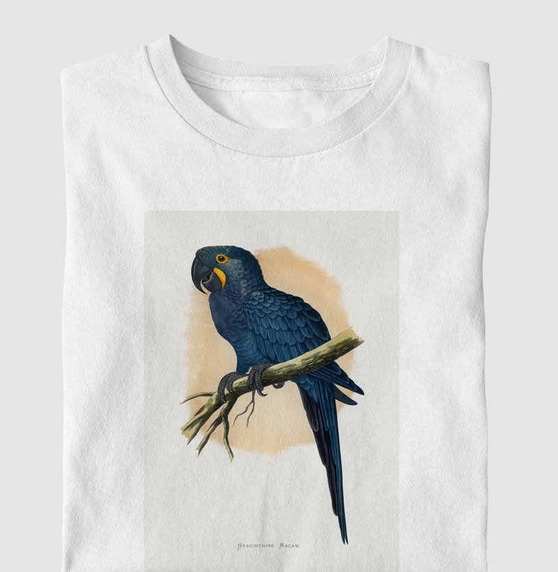 Hyacinthine Macaw