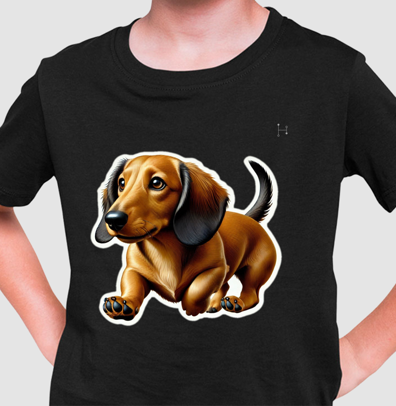 Dachshund 