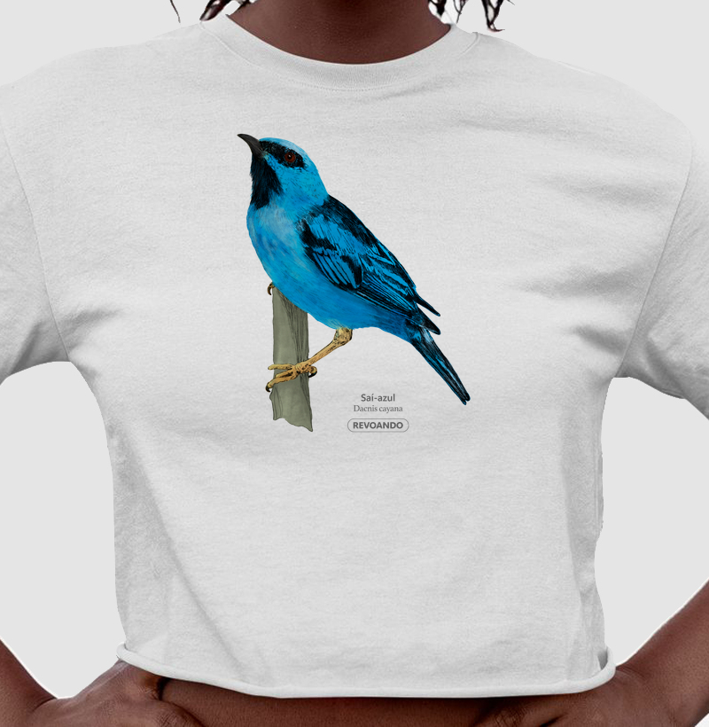Aves do Brasil - Saí-azul - Cropped
