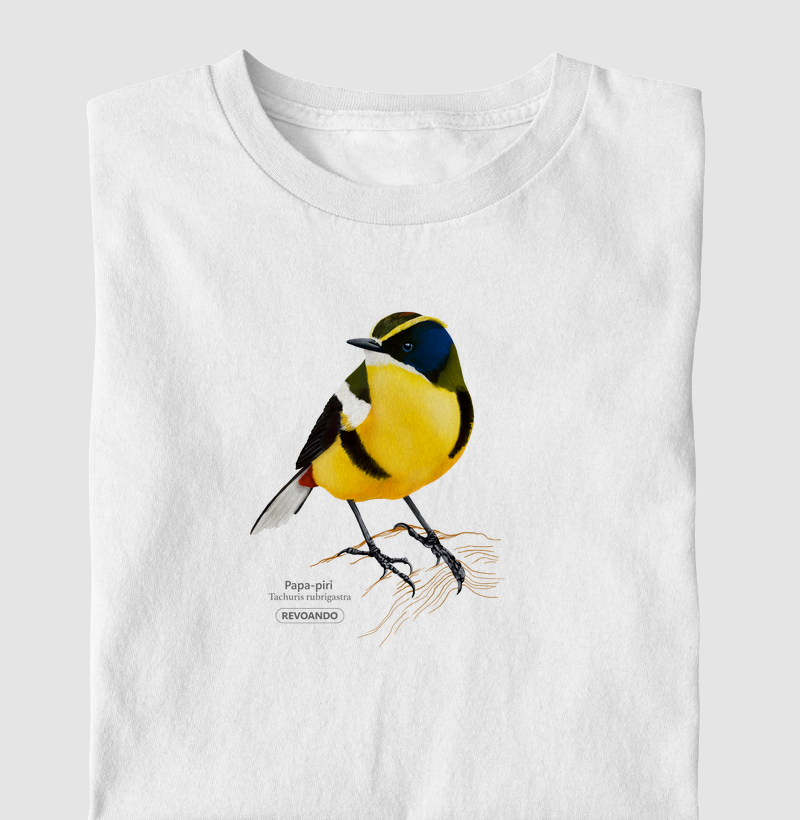 Inky Aves - Papa-piri - Infantil