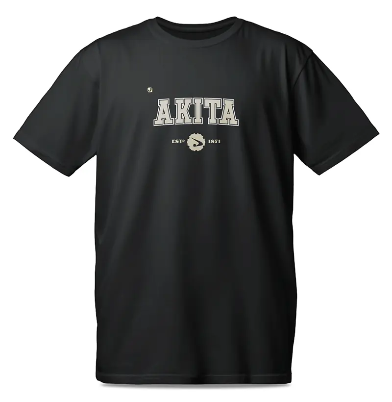 Província de Akita