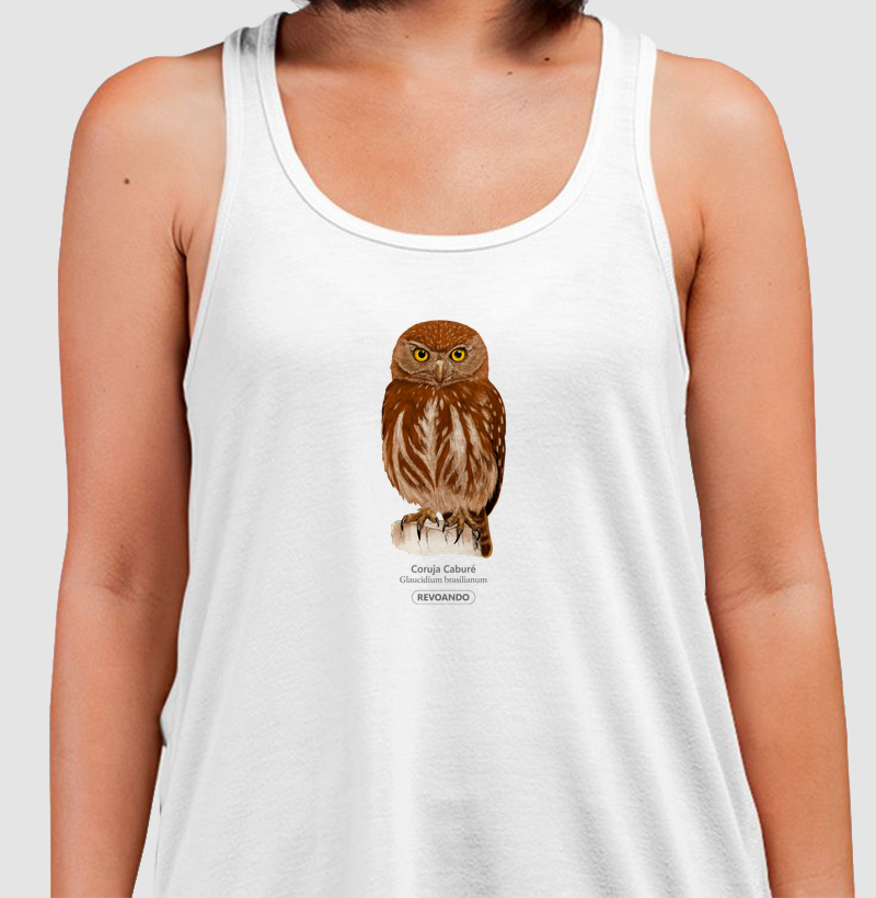 Aves do Brasil - Coruja Caburé - Regata