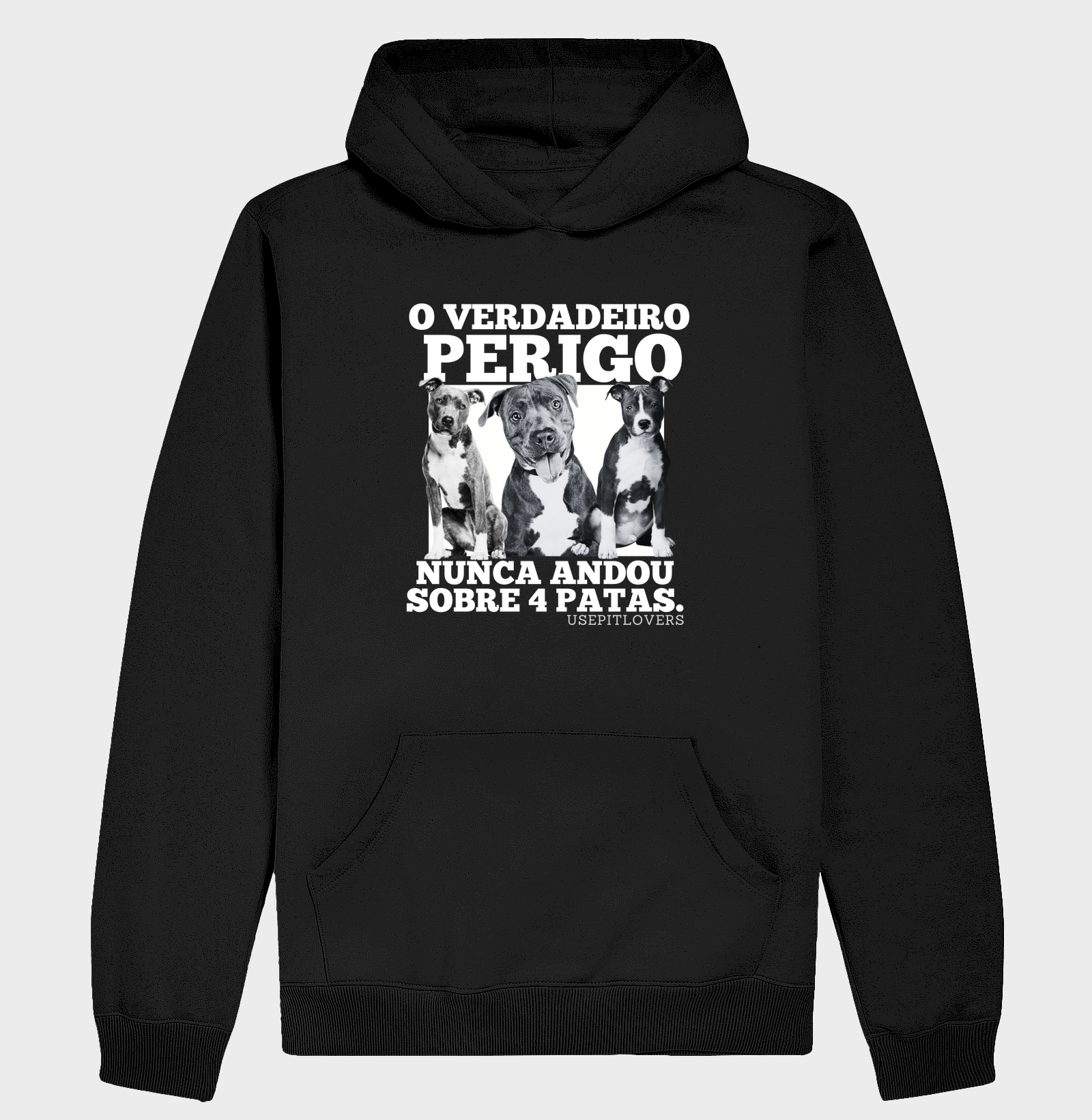 O VERDADEIRO PERIGO NUNCA ANDOU SOBRE 4 PATAS