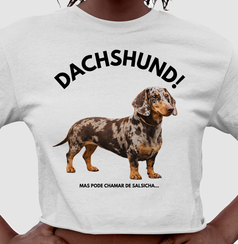Dachshund: mas pode chamar de salsicha...