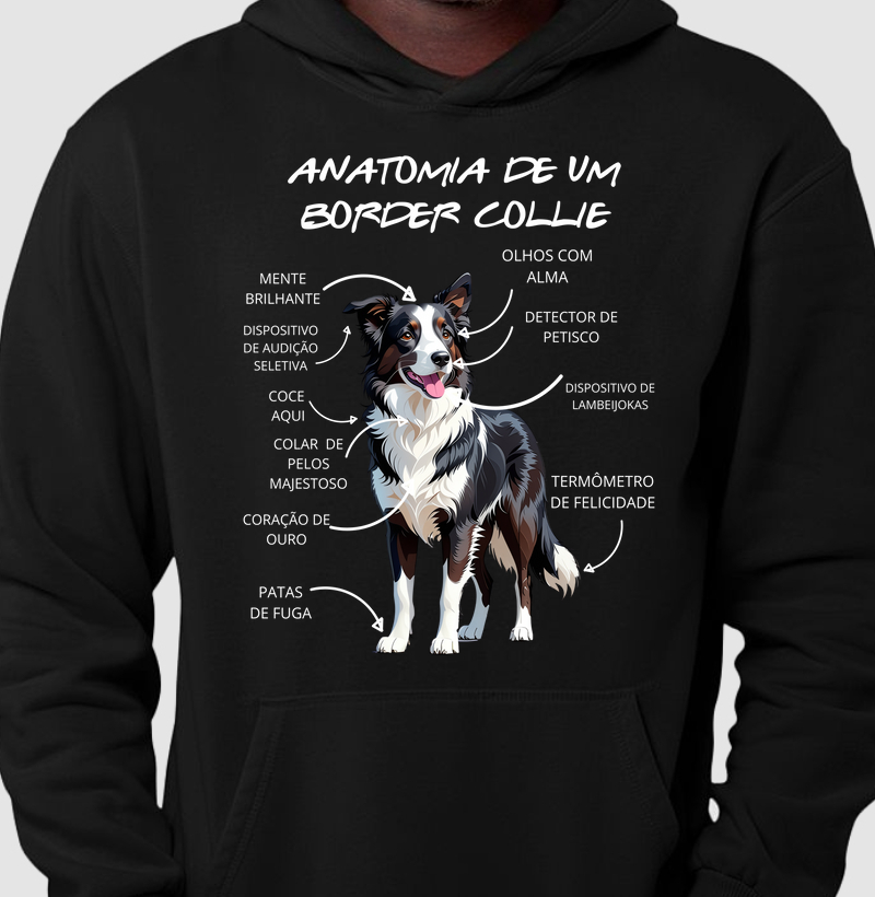 Anatomia de um border collie