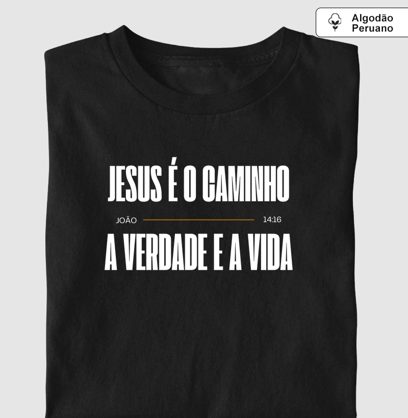Jesus é o caminho, a verdade e a vida IV