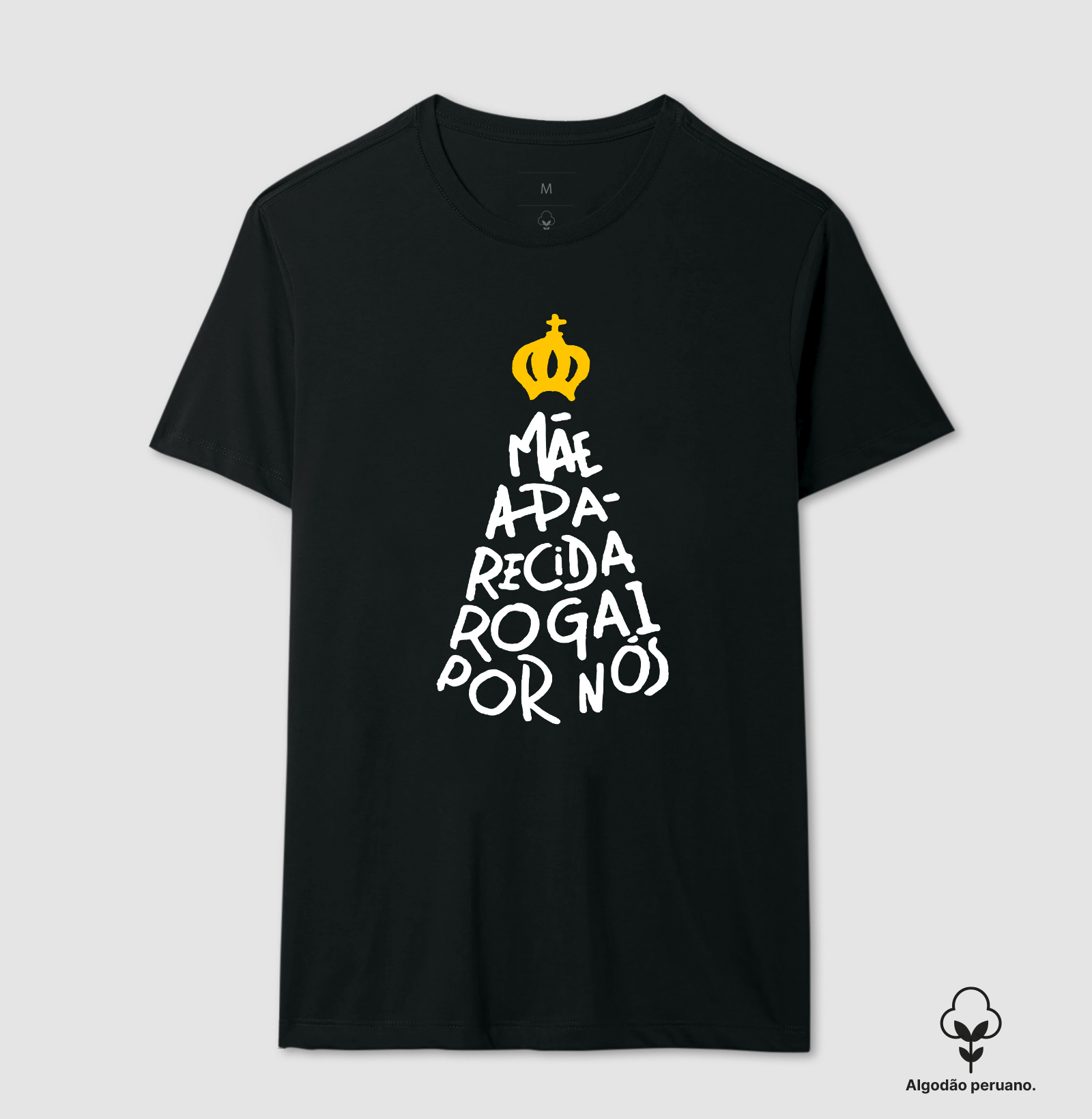 Nossa Senhora Aparecida Letras