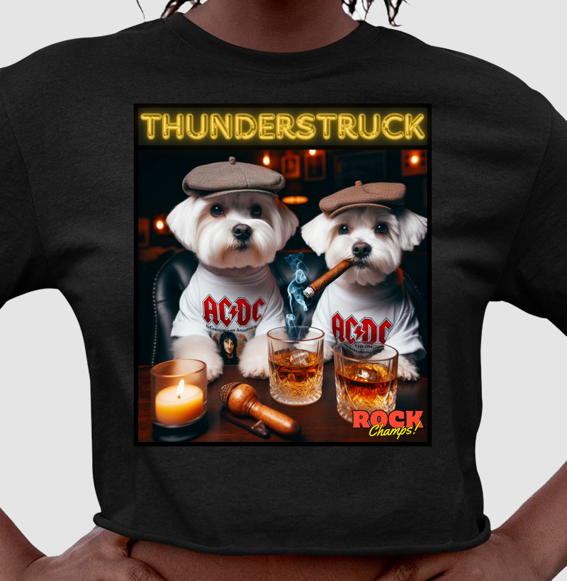 Maltês Thunderstruck