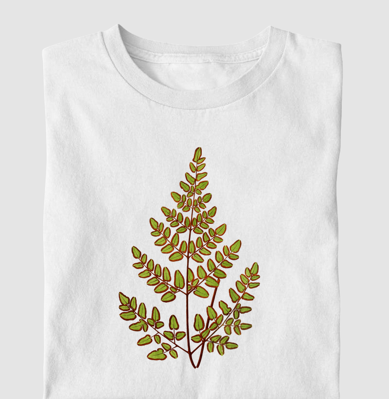 Cheilanthes Pteroides