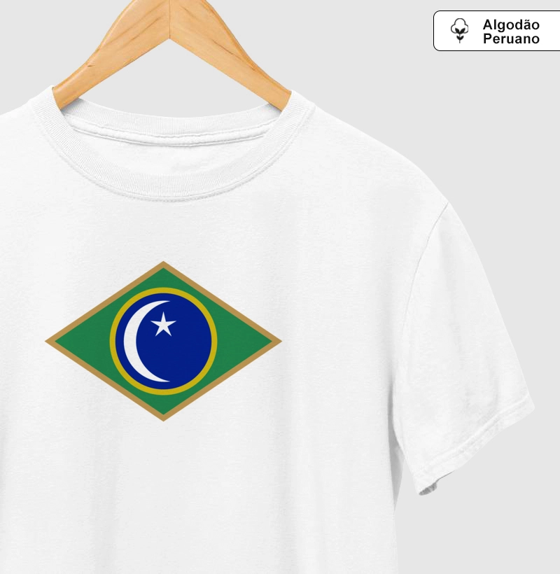 Bandeira Santa Maria 