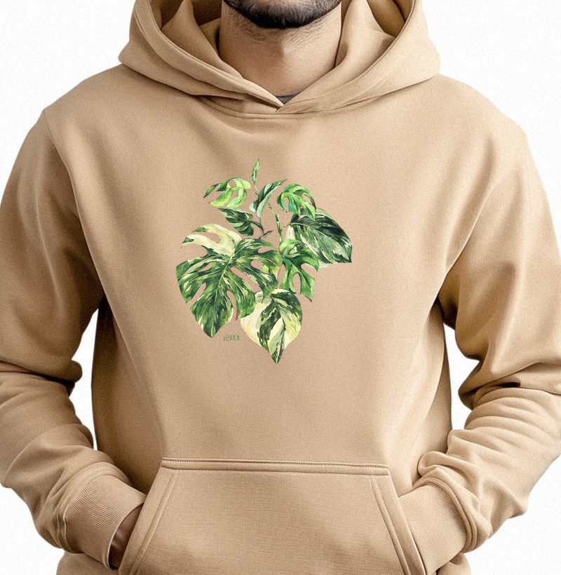 Costelas de Adão variegata