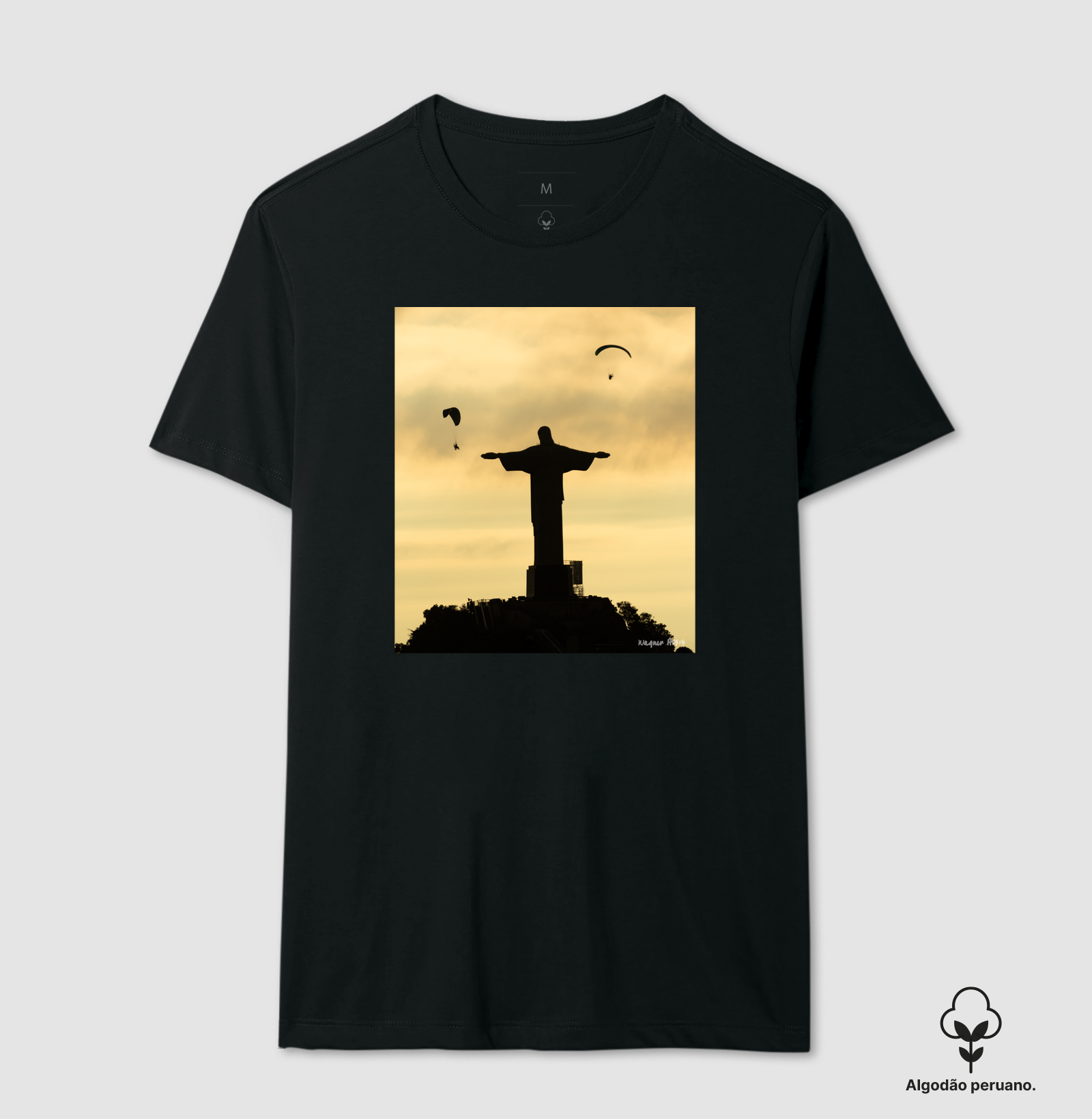 Camiseta Wings