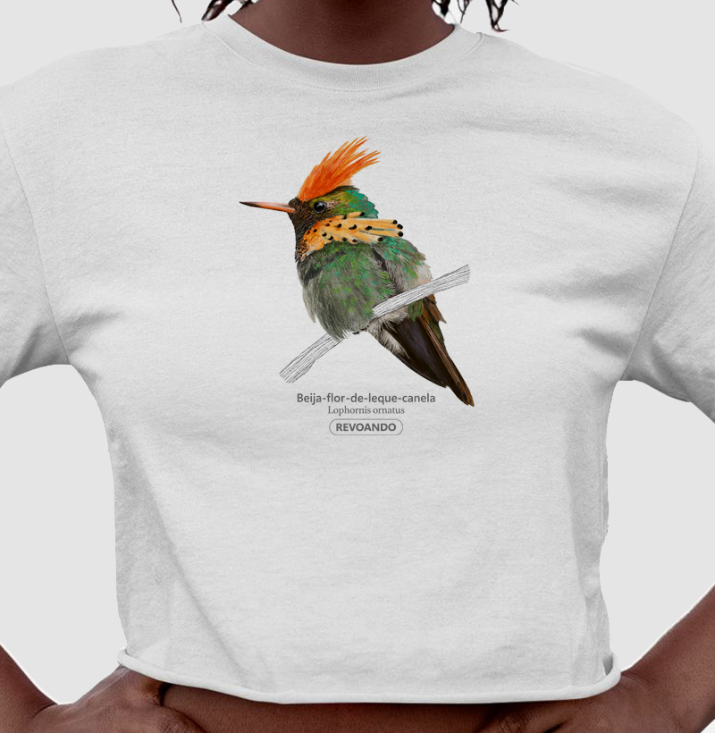 Aves do Brasil - Beija-flor-de-leque-canela - Cropped