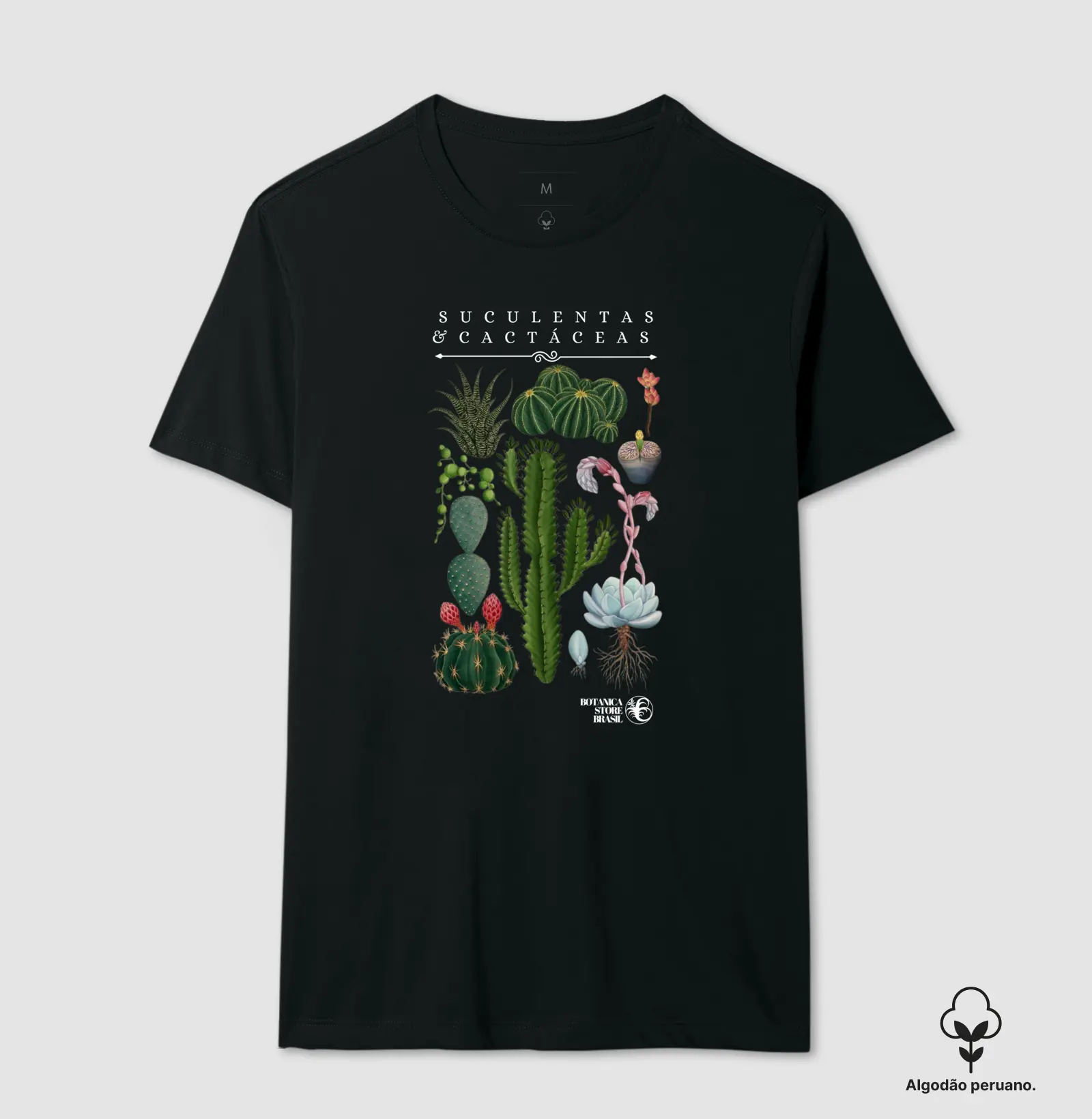 SUCULENTAS E CACTACEAS 2