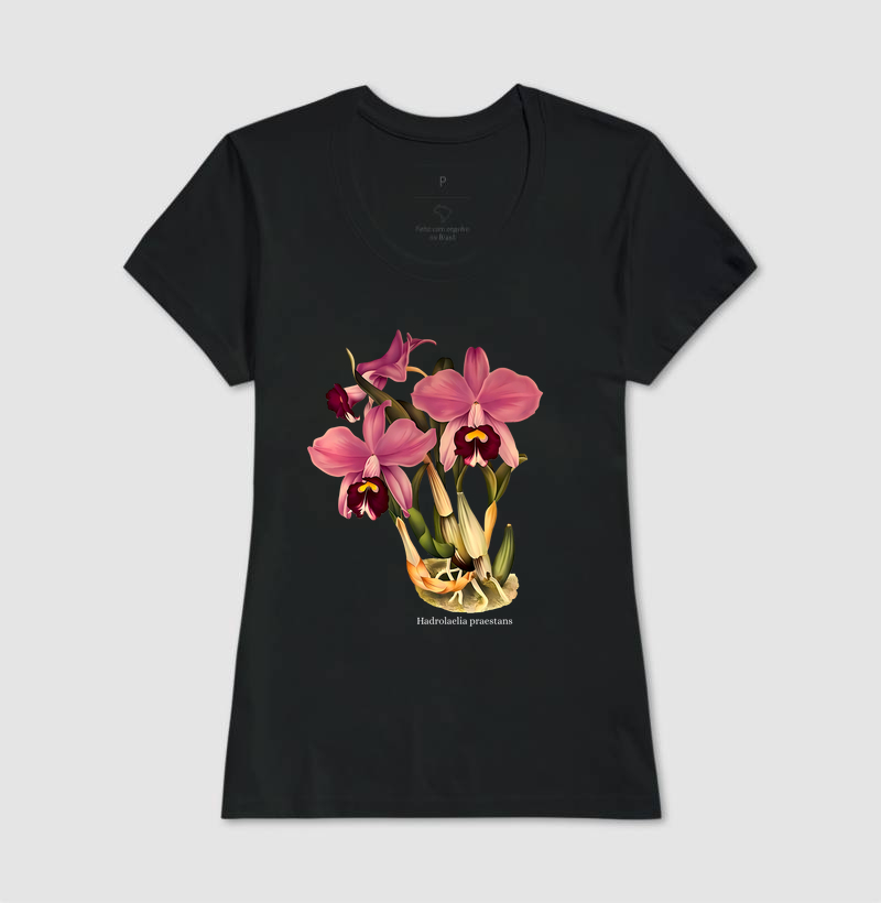 Camiseta Feminina Hadrolaelia praestans