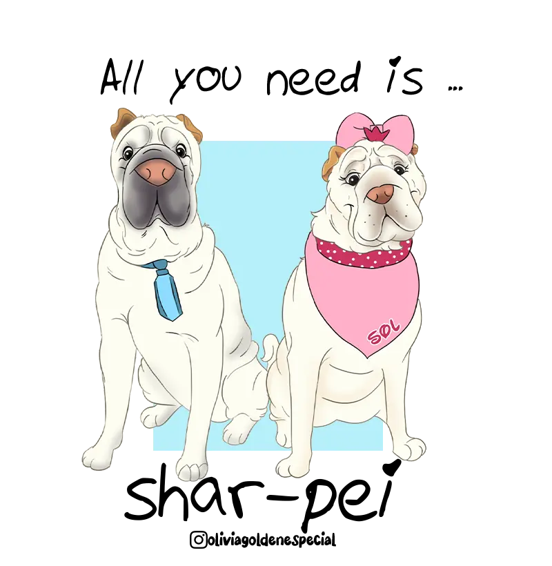 Sharpei 