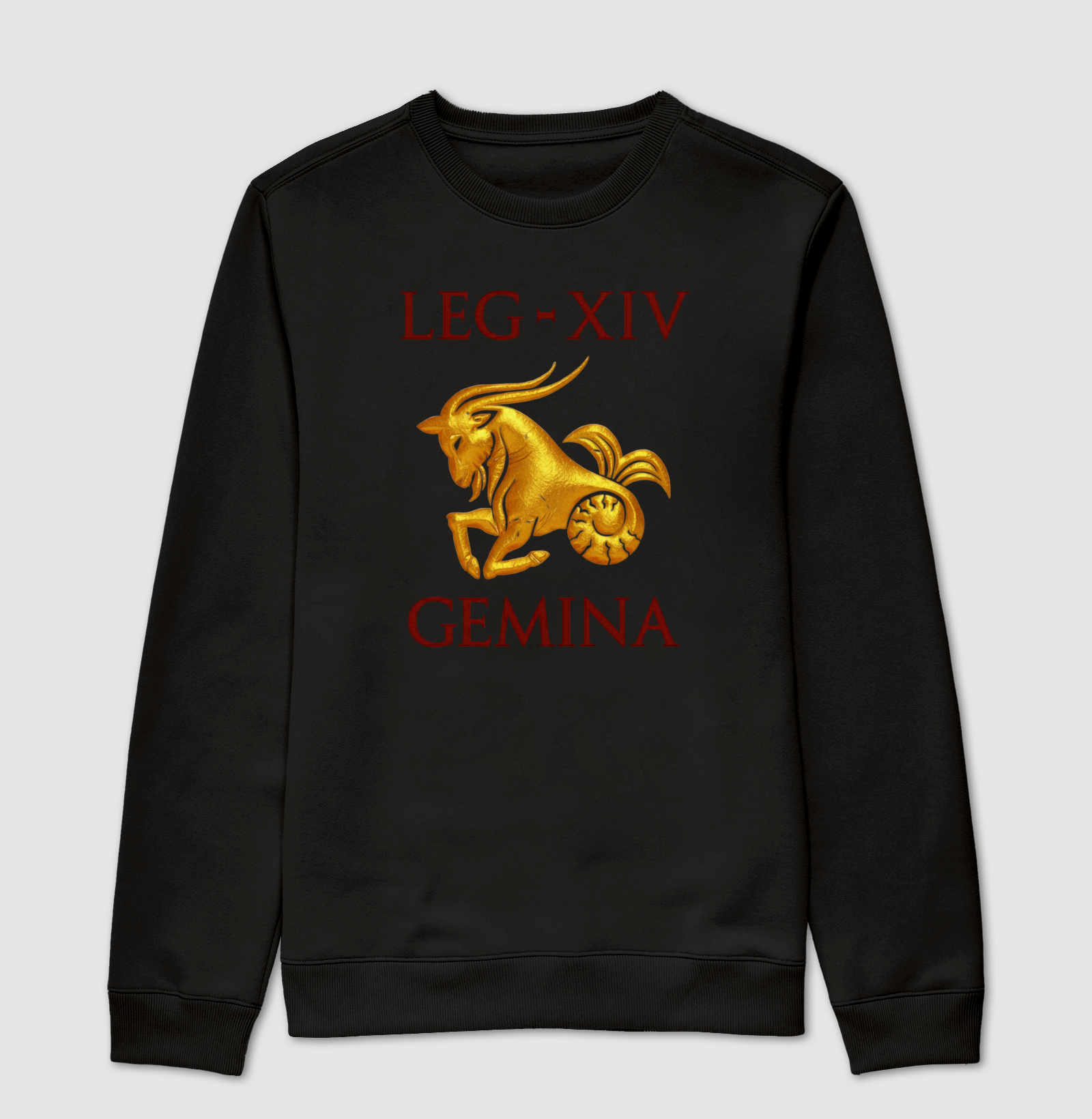LEGIO — XIV Gemina