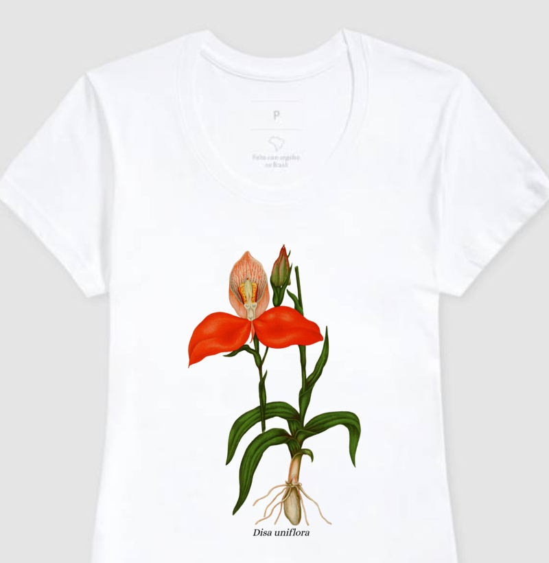 Baby Look Disa uniflora