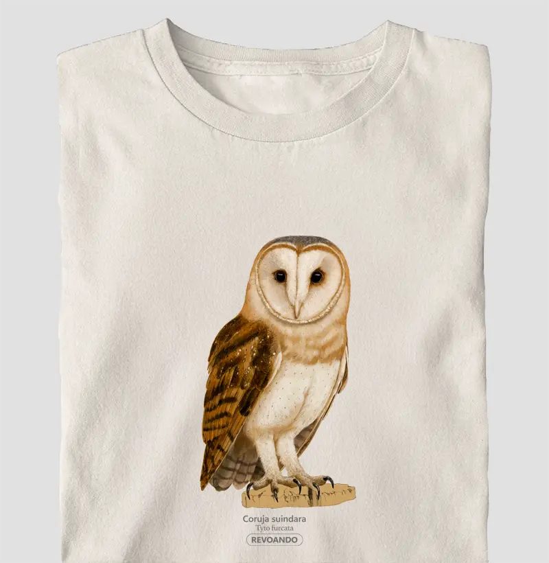 Aves do Brasil - Coruja Suindara - Oversized