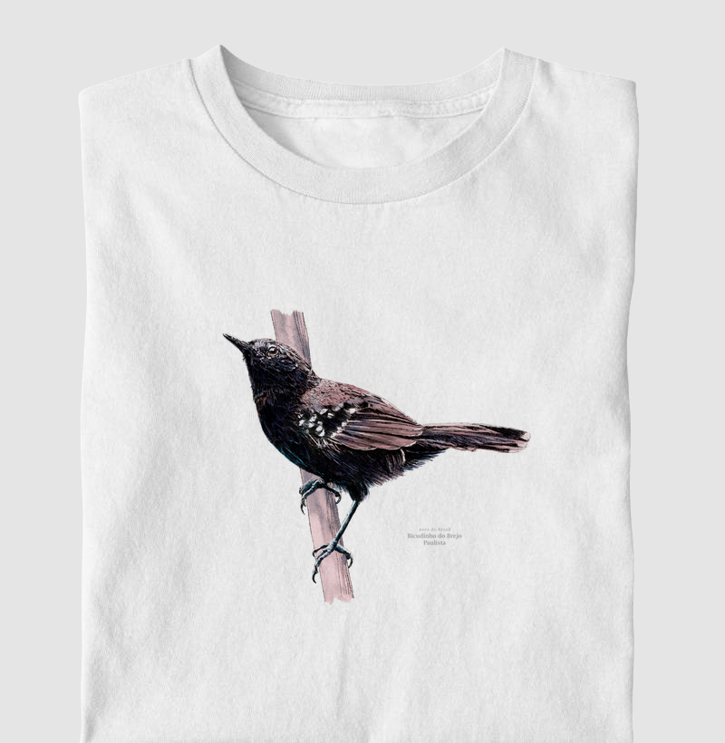 Aves do Brasil - Bicudinho do Brejo Paulista