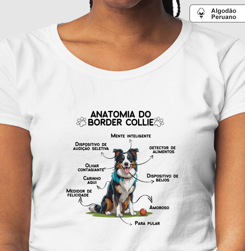 Anatomia do Border Collie