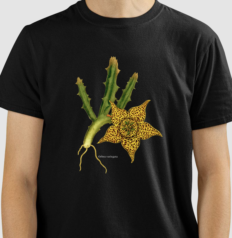 Camiseta Tshirt Orbea variegata