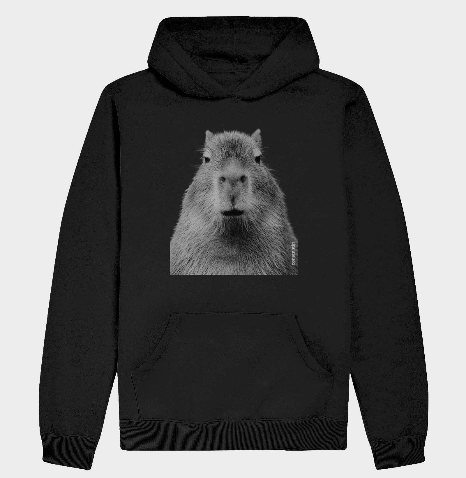 Capivara