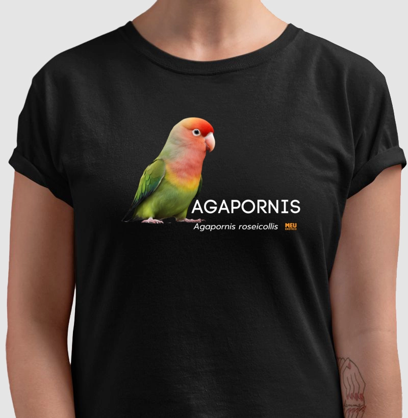 Agapornis