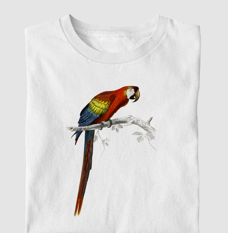 Arara Vintage