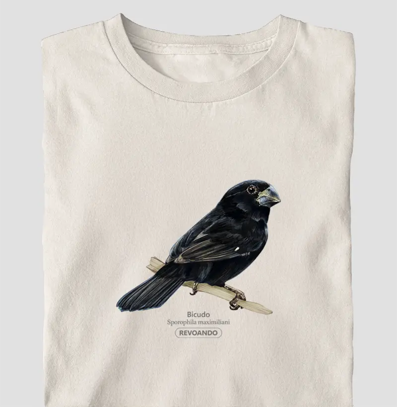 Aves do Brasil - Bicudo - Oversized