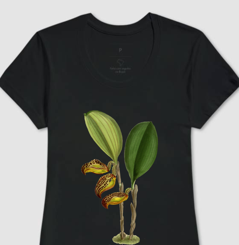 Baby Look Zootrophion dayanum t-shirt