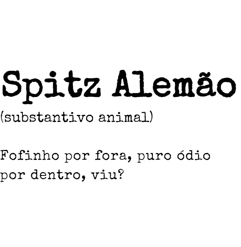 Spitz Alemão s.a. 02