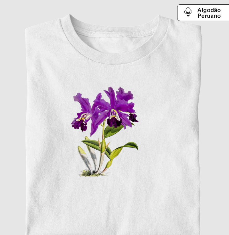 Cattleya Mardellii