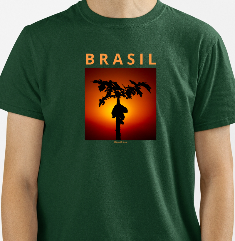 Brasil I
